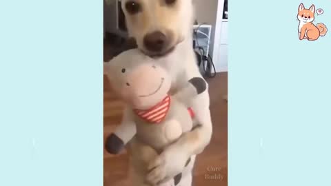 Puppies Funny