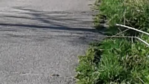 Happy Birthday Su #7