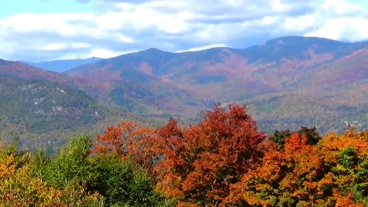 Fall Foliage