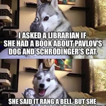 Pavlov's Dog and Schrödinger's Cat #shorts #memes #science #science humor