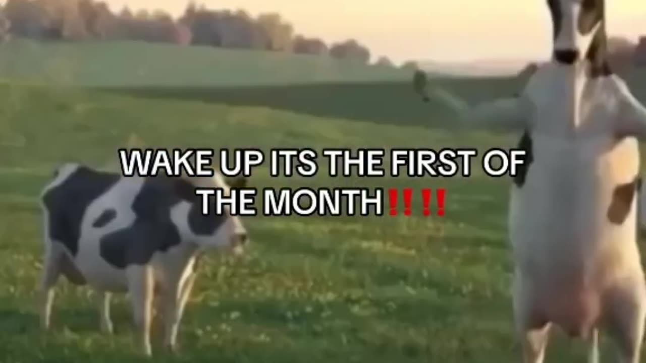 WAKE UP IS THE FIRST OF THE MONTH