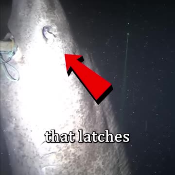 THE OLDER CREATURE IN THE WORLD