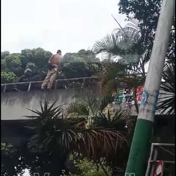 Cuando intentaron bajarlo de un puente, se lanzó para no ser atrapado