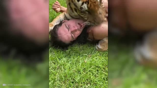 THESE ANIMALS REUNITED WITH THEIR OWNERS