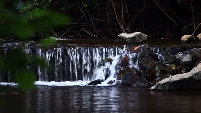 Water Sounds for Sleep or Focus | White Noise Stream