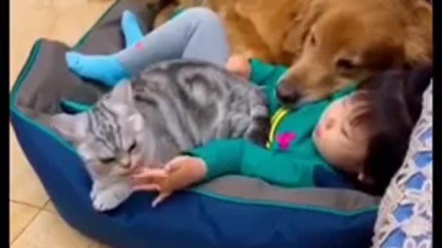 CUTE DOG AND CAT - SO SWEET! 🥰❤️😘 #SHORTS