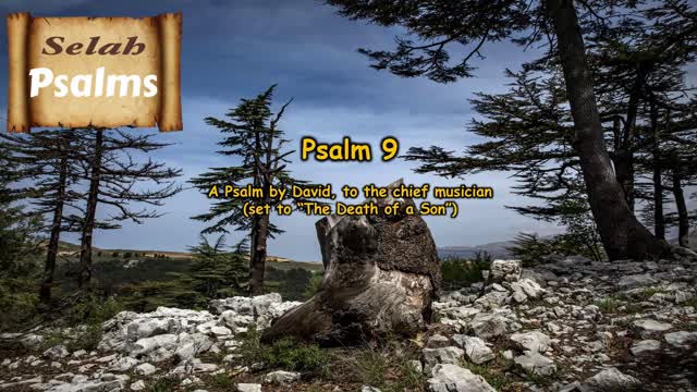 The Selah Psalms Project