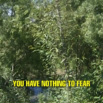 How to stay sane in the Military.