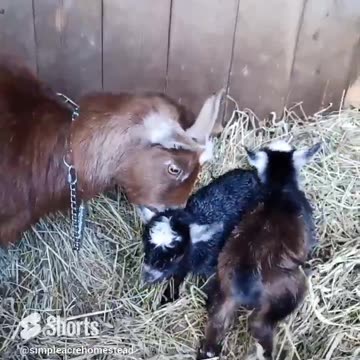 So this happened today...