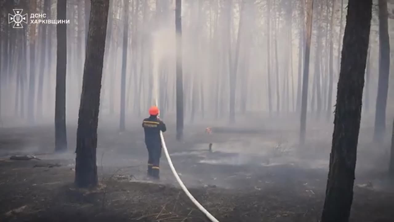 Kharkiv region: liquidation of a large-scale forest fire continues for the second