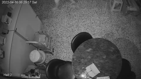 hallmid midnight 20220416