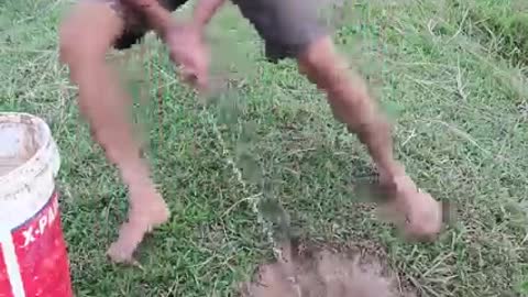 Very danger animal video