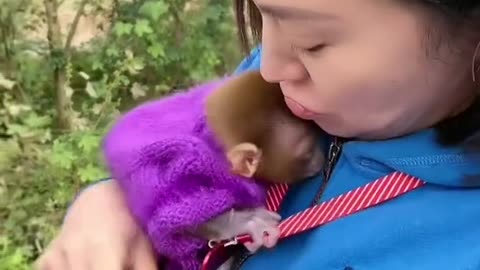 The monkey love