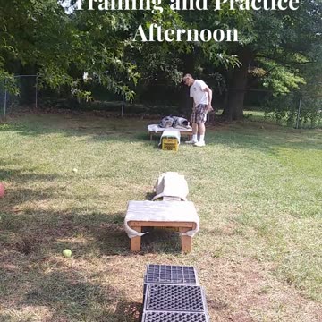 Ruff Cut PodCast: Raised Platform and Balance Beam part 4 afternoon training cut c