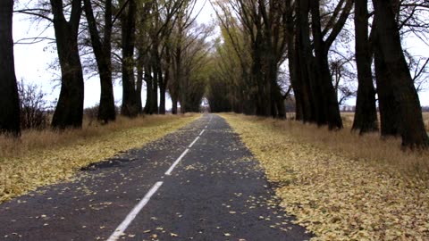 Motivação através de frases famosas! Frases Poderosas de Motivação.