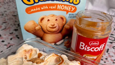 The Easiest No-Churn Ice Cream: Chocolate-Coffee Flavor & Vanilla-Biscoff-Teddy Graham Flavors@