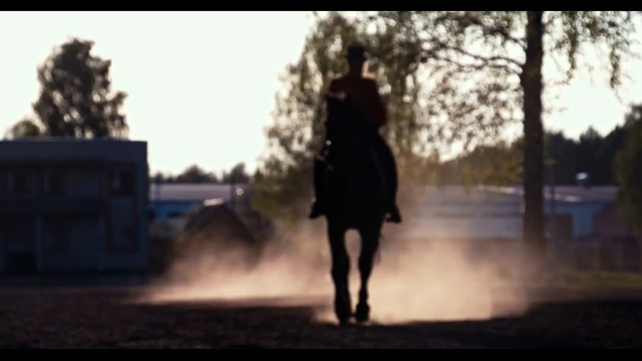 Beautiful girl riding a horse against sun