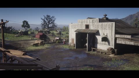 Red Dead Redemption 2 - I'm surprised you move on two legs!!!