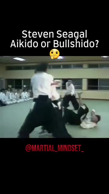 Steven Seagal Aikido