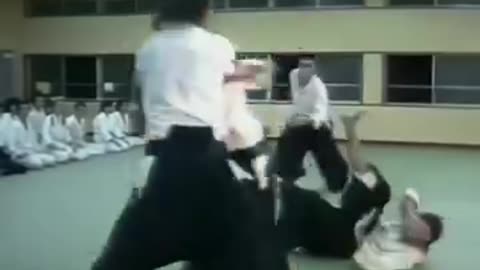 Steven Seagal Aikido