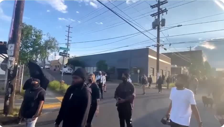 Black protesters tell Antifa idiots to LEAVE