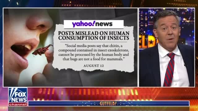 Gutfeld Monologue: Eating Bugs.