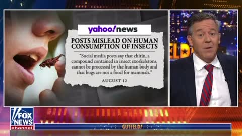 Gutfeld Monologue: Eating Bugs.