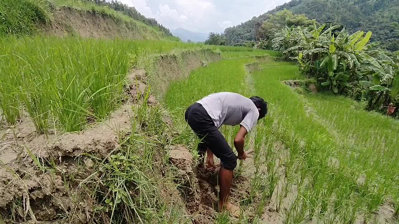 Village life ft. My brother (Nepal)