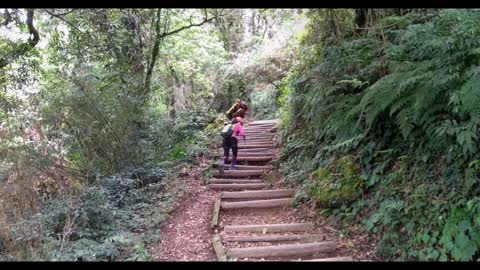 大凍山 taiwan