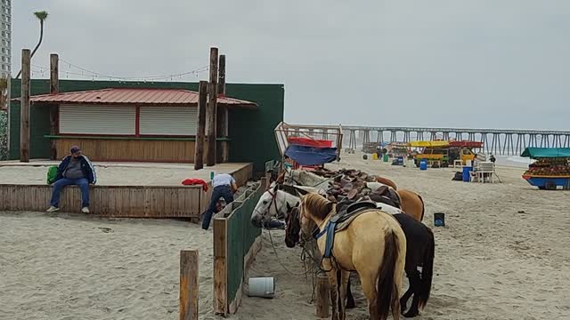 Bienvenido a Rosarito Beach Mexico 🇲🇽