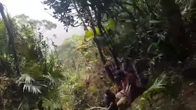 Boy On Mountain In Sri Lanka Gongala Mountain Screat Place -Real adventures