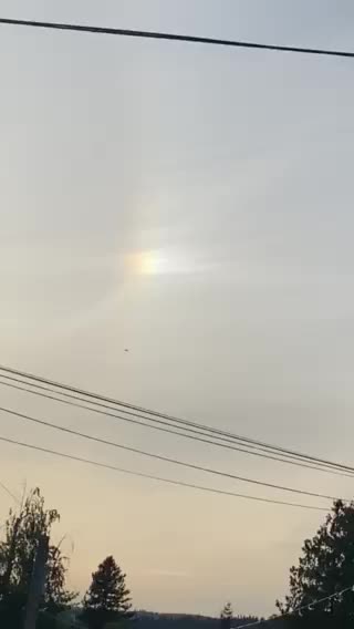 Hidden rainbow on a sunny day? Chemtrails galore..