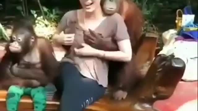 Monkey kissing this girl #short video