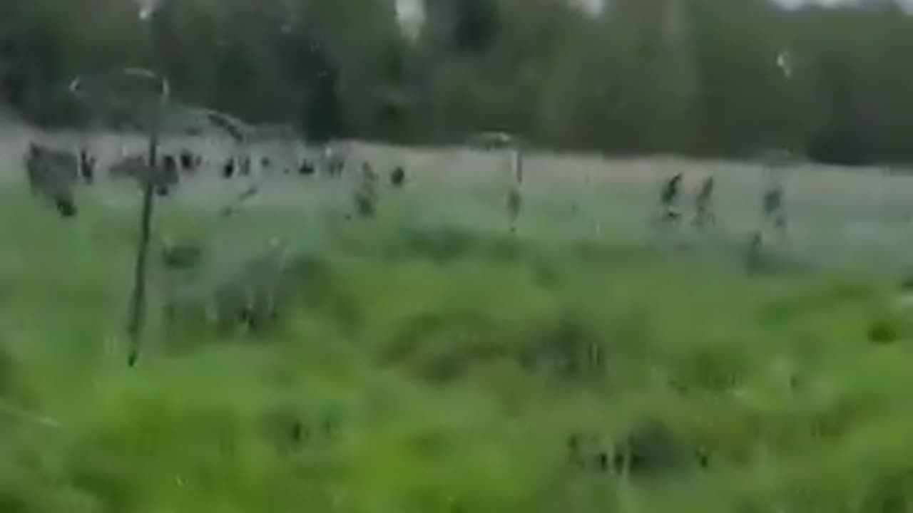 Polish soldiers and border guards fire warning shots to scare off a large group