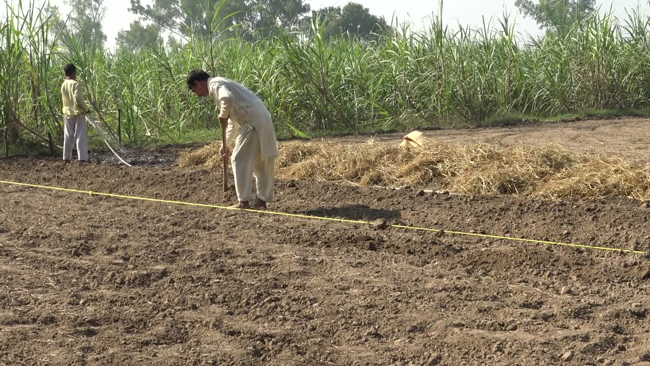 Making raised beds Punjab Pakistan