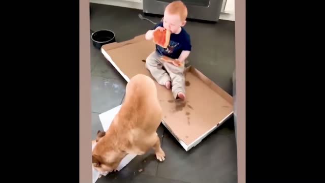 Cute dog with Baby