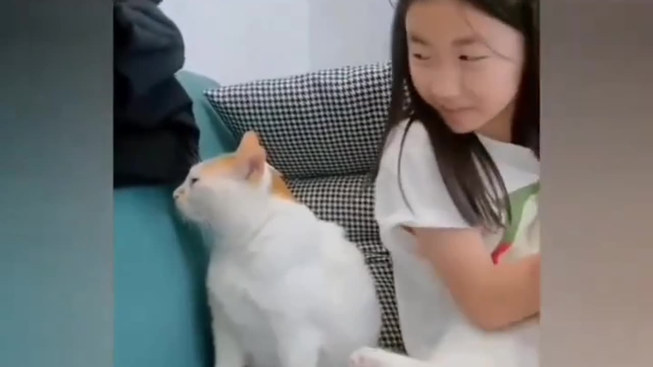 Cat's Jealousy Expression๐
๐
๐๐