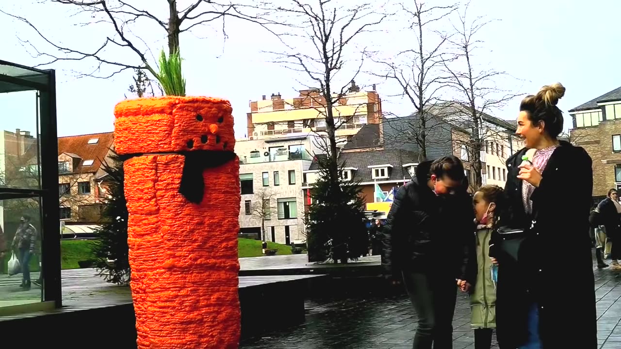 The Carrot Doesn't Want to be Interviewed !!