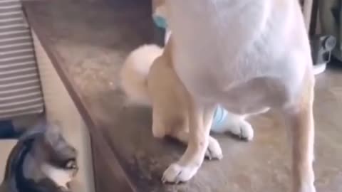 Oh no...Share your friend