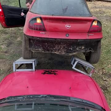 funny|prank|jokes|funny jokes|dad jokes|funny memes|funny video|fun|laughing|funny animal|knock