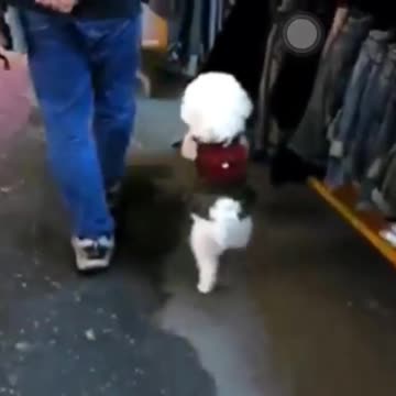 Found by MashupZone part 5