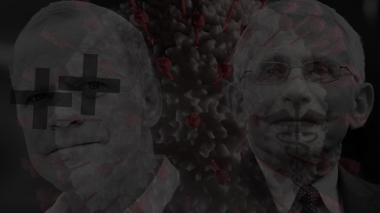 Kari Mullens vs faucism