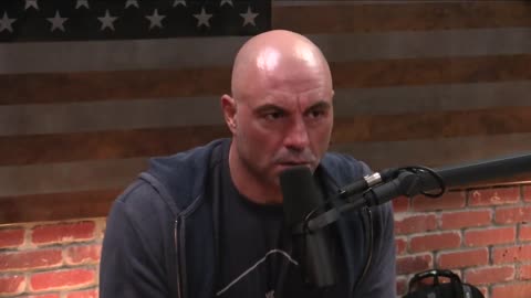 Joe Rogan Experience #1208 - Jordan Petersons