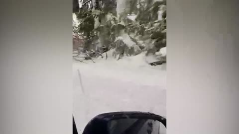 Snijeg zatrpao Austriju