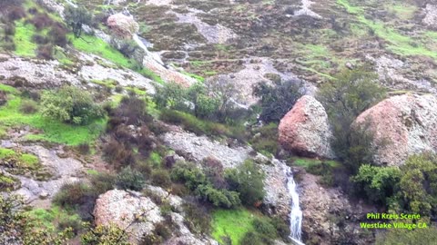 Spectacular Mother Nature Conejo Valley BardBliss