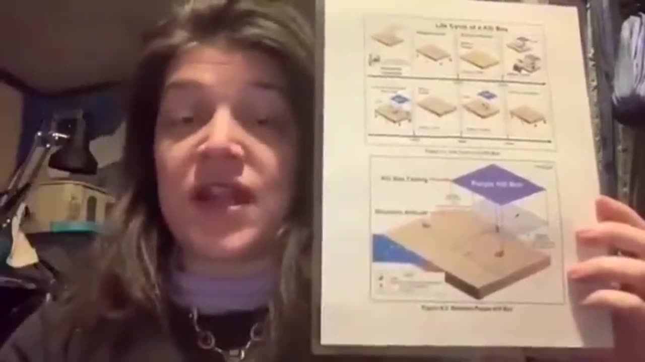 Sabrina Wallace Explains The ''Kill Box'' And How They've Been Harvesting Energy From Us