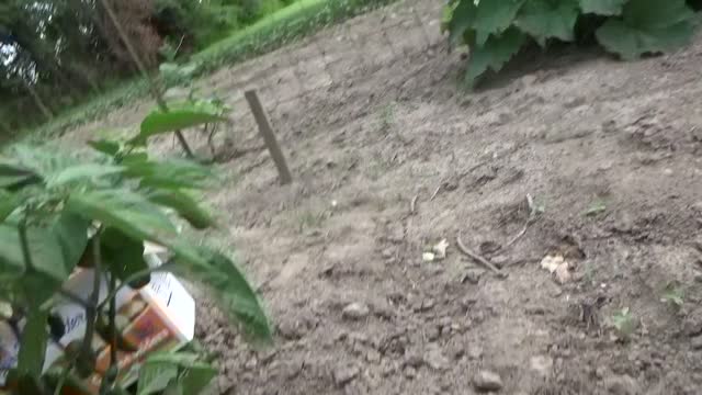 Great and Terrible Gardening s1e21 The Ultimate Garden Experience in Real Time