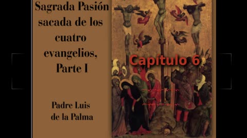 ✝️ Historia de la Sagrada Pasión de Padre Luis de la Palma - Capítulo 6