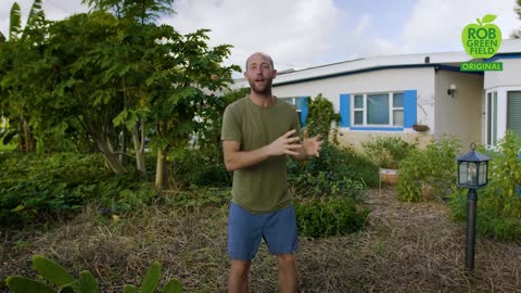 HOW TO TURN YOUR YARD INTO A VEGETABLE & FOOD GARDEN >>NO GROCERY FOR A YEAR