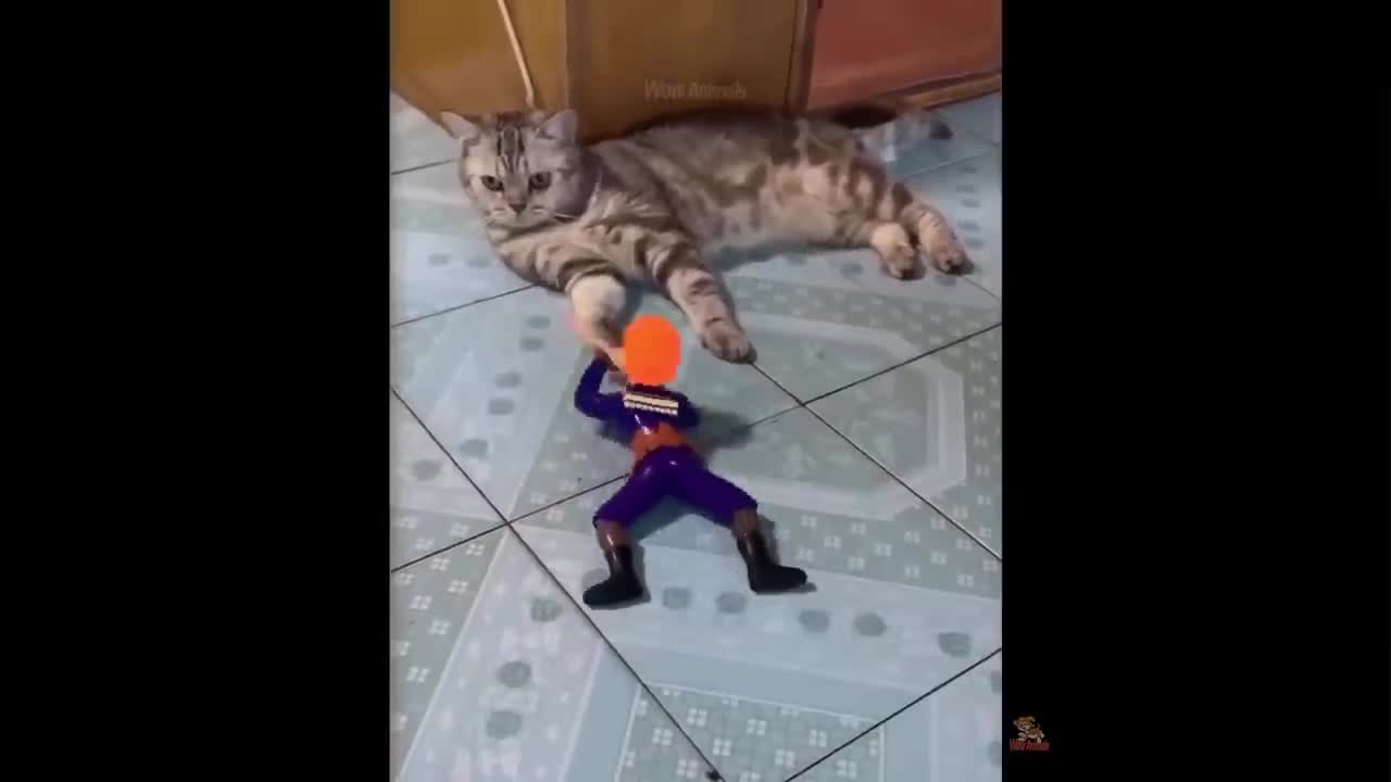 FUNNIEST ANIMALS, BEST ANIMALS OF 2022
